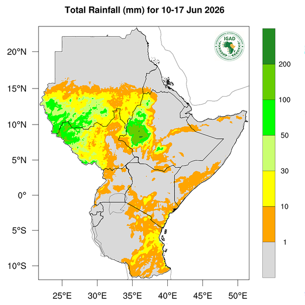 Rainfall forecast