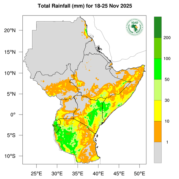 Rainfall forecast