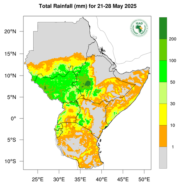 Rainfall forecast