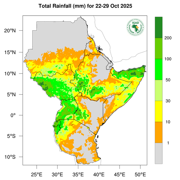 Rainfall forecast