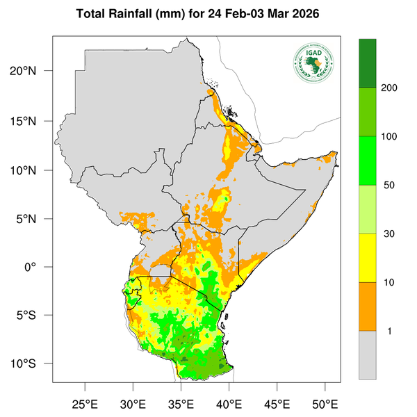 Rainfall forecast