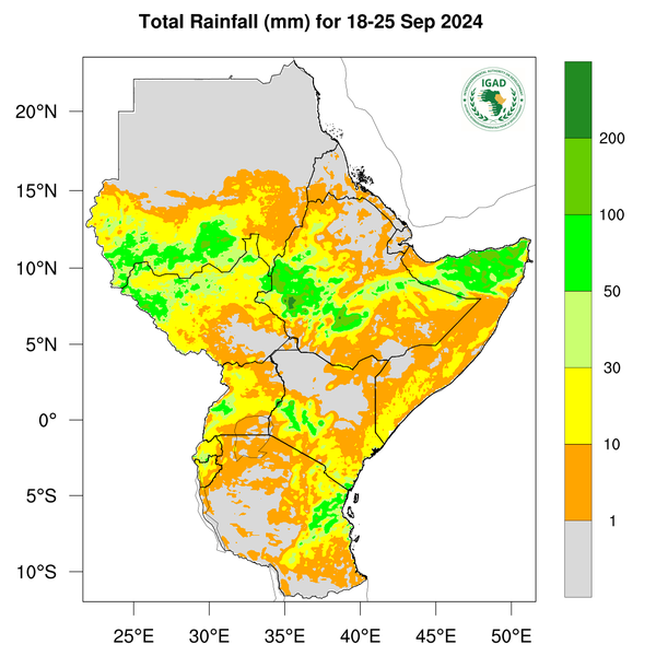 Rainfall forecast