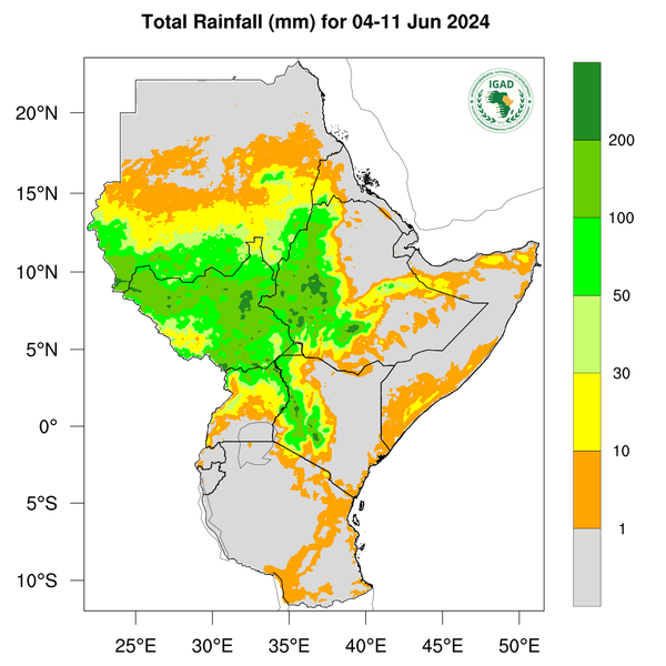 Rainfall forecast