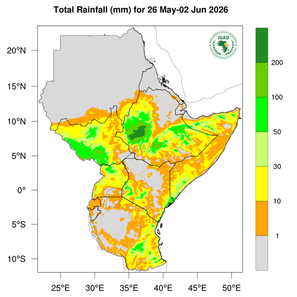 Rainfall forecast