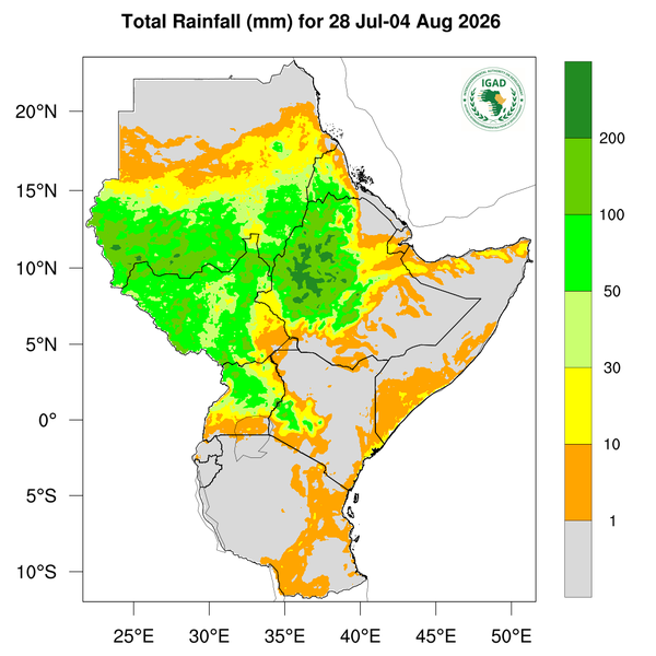 Rainfall forecast
