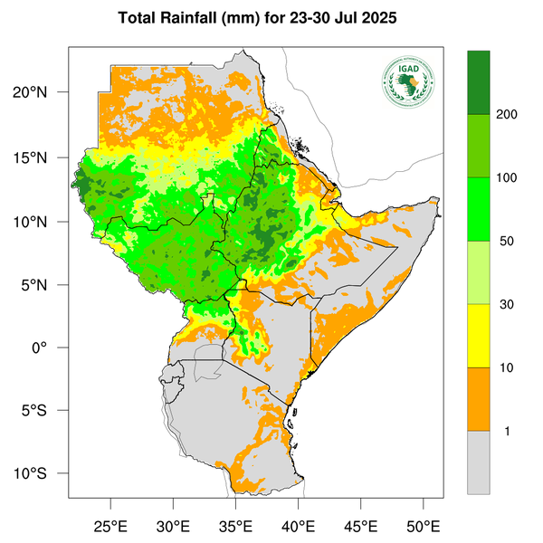 Rainfall forecast