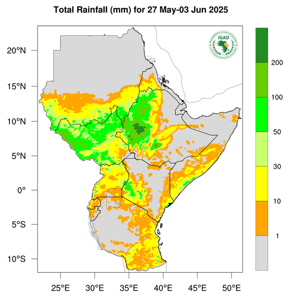 Rainfall forecast