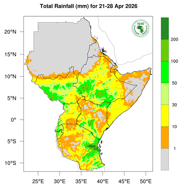 Rainfall forecast