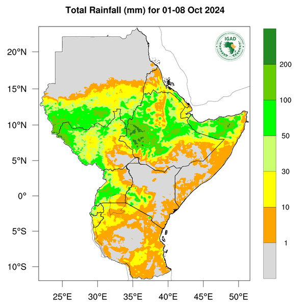 Rainfall forecast