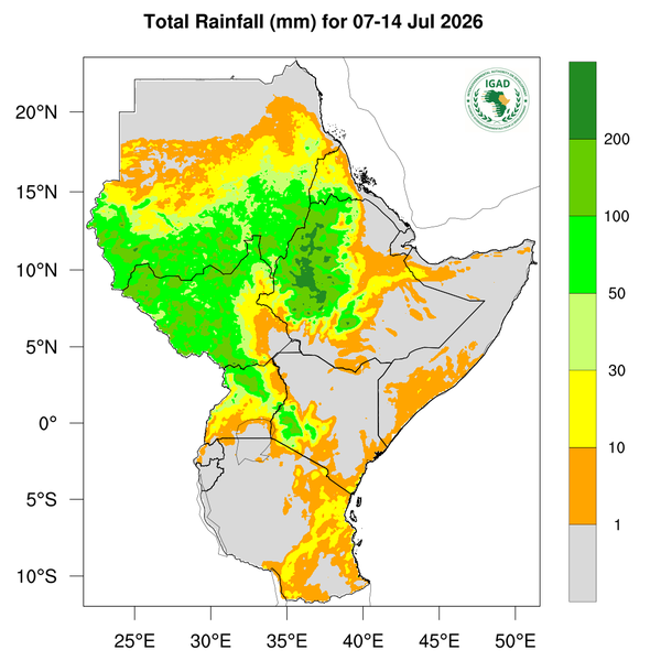 Rainfall forecast