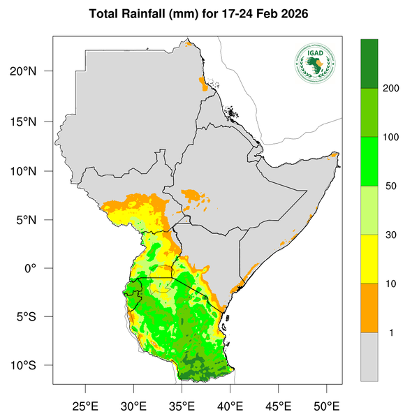 Rainfall forecast