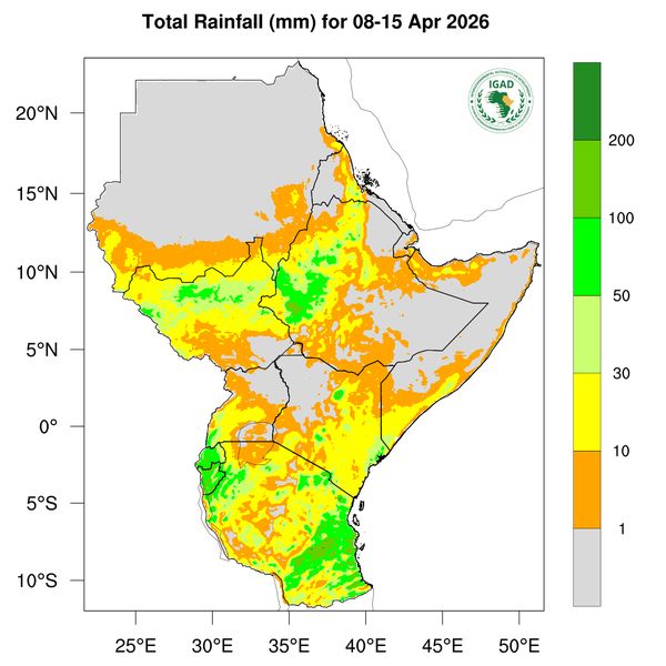 Rainfall forecast
