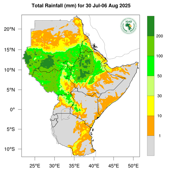 Rainfall forecast