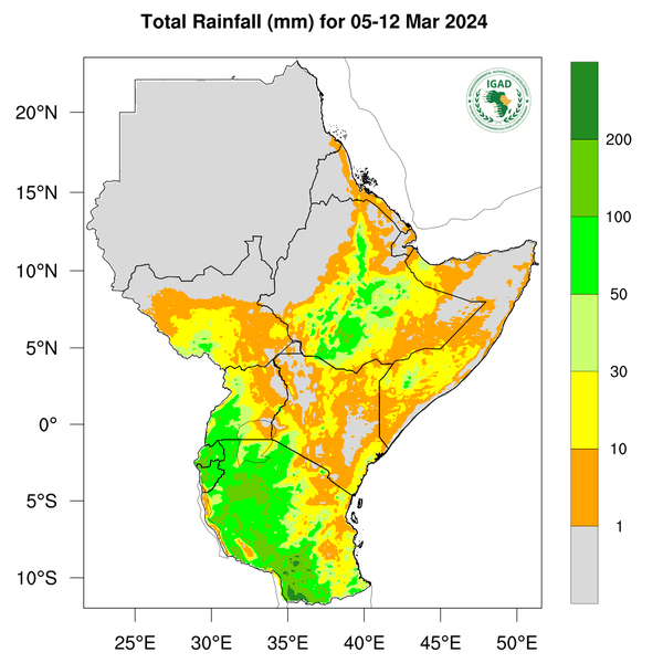 Rainfall forecast