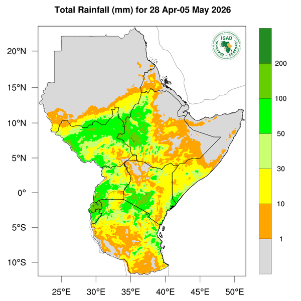 Rainfall forecast