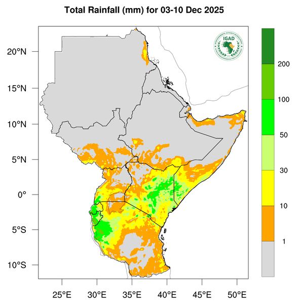 Rainfall forecast