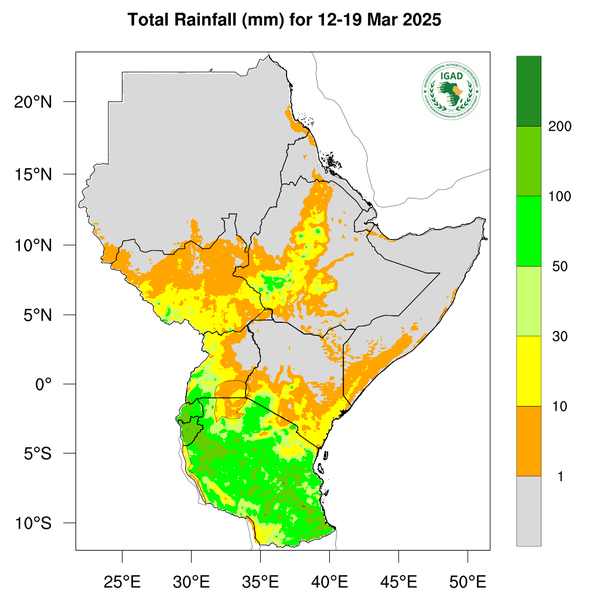Rainfall forecast