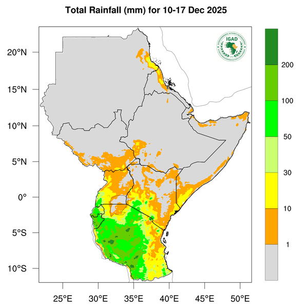Rainfall forecast