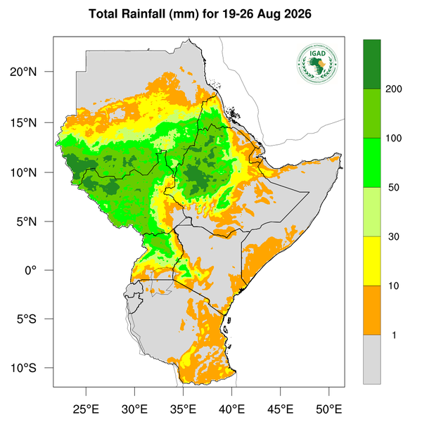 Rainfall forecast