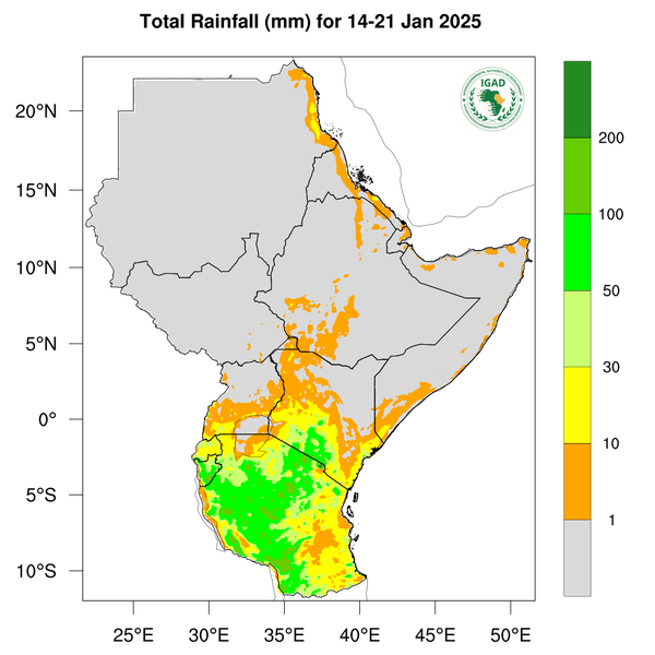 Rainfall forecast