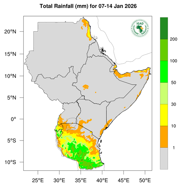 Rainfall forecast