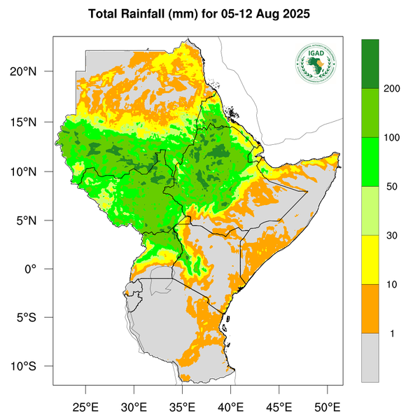 Rainfall forecast