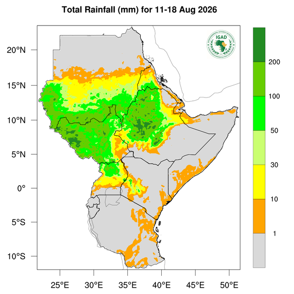 Rainfall forecast