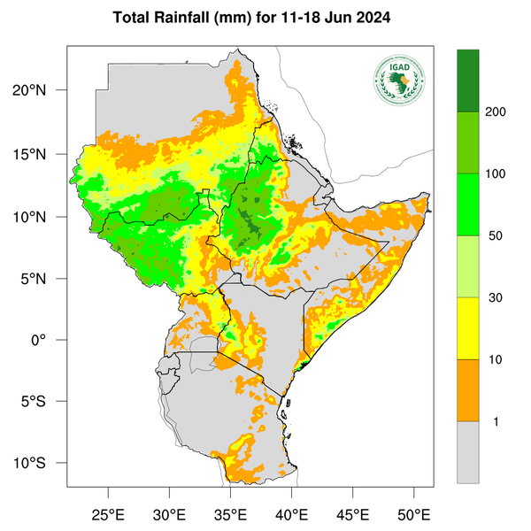Rainfall forecast