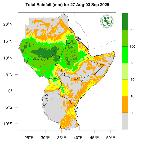 Rainfall forecast