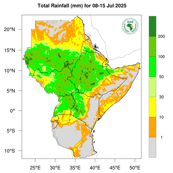 Rainfall forecast