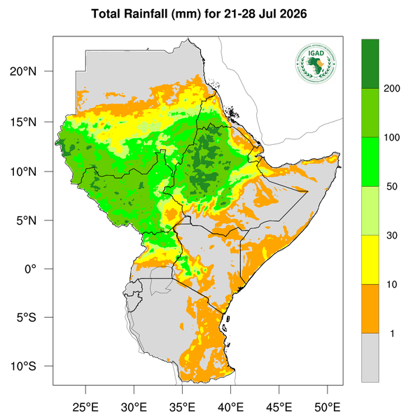 Rainfall forecast