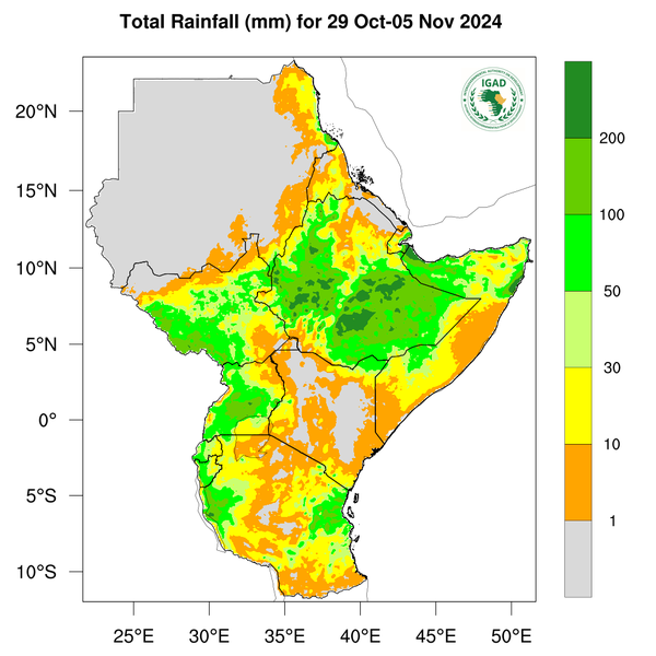 Rainfall forecast
