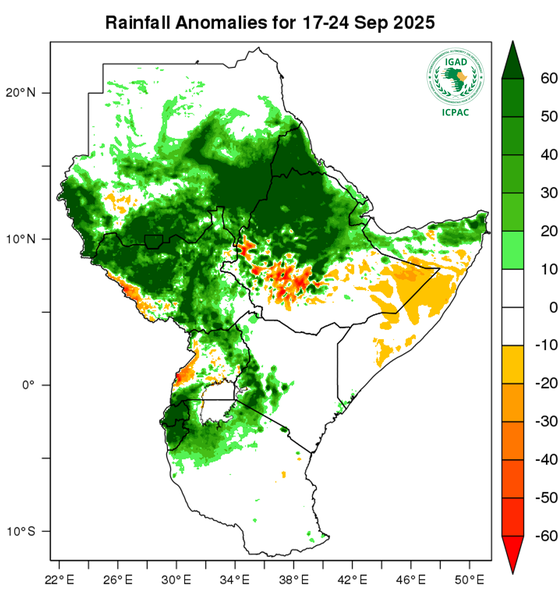 Rainfall forecast (anomalies)