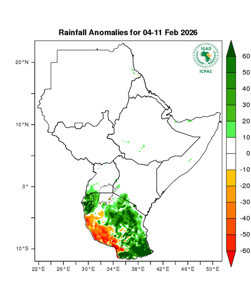 Rainfall forecast (anomalies)