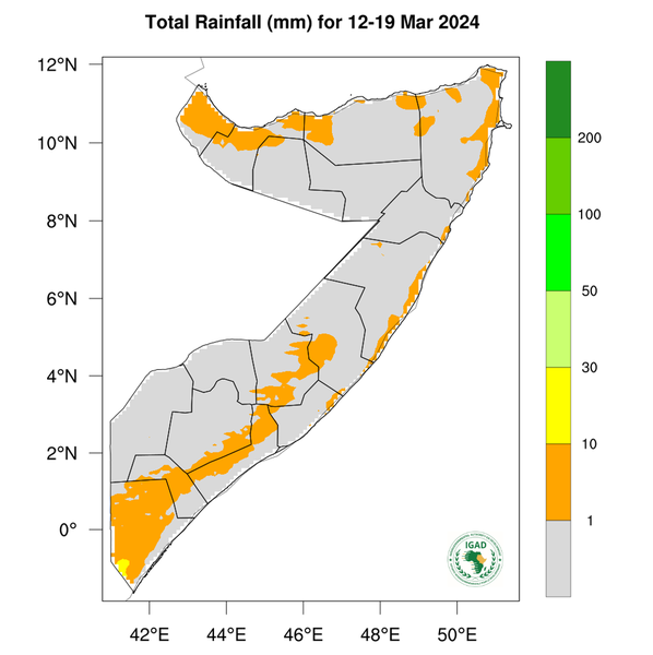 Rainfall forecast