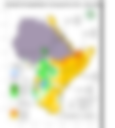 Rainfall forecast