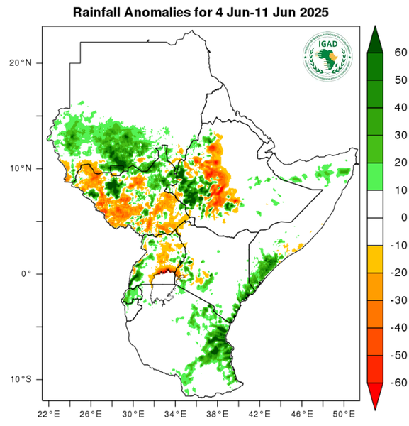 Rainfall forecast (anomalies)