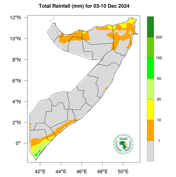 Rainfall forecast