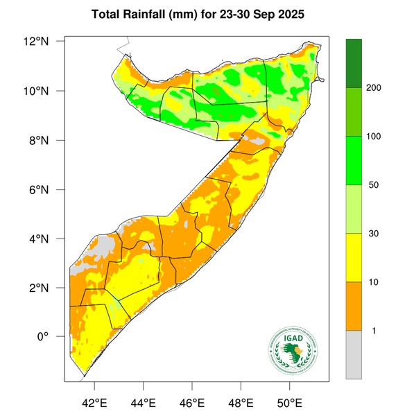 Rainfall forecast
