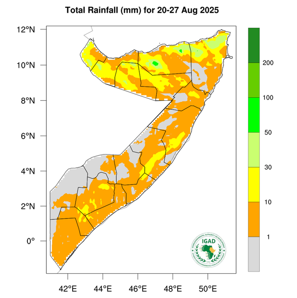 Rainfall forecast