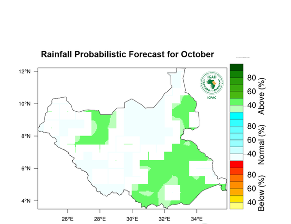 Rainfall forecast