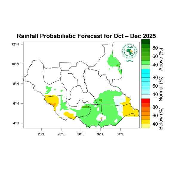 Rainfall forecast