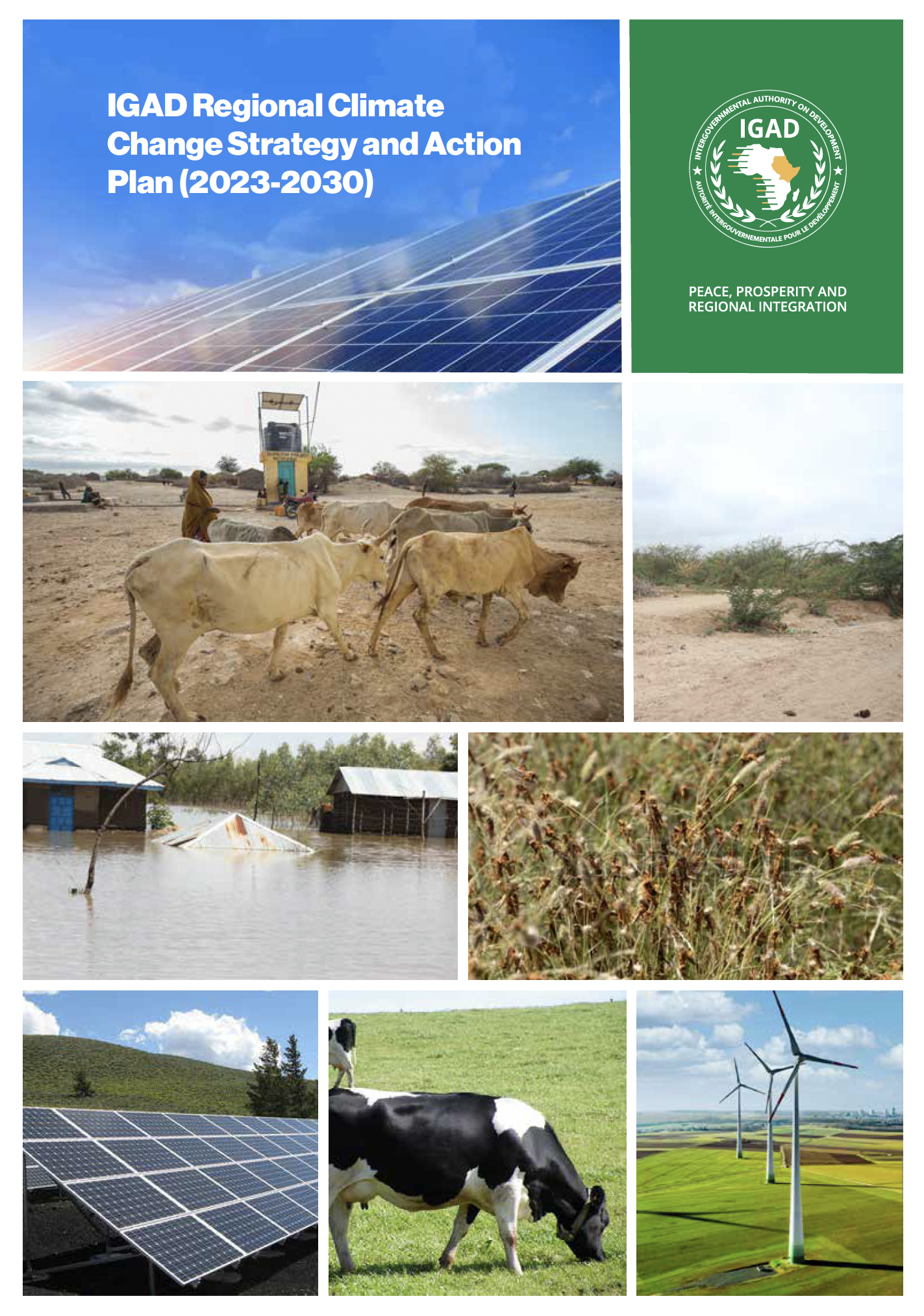 IGAD Regional Climate Change Strategy and Action Plan (2023-2030) - ICPAC