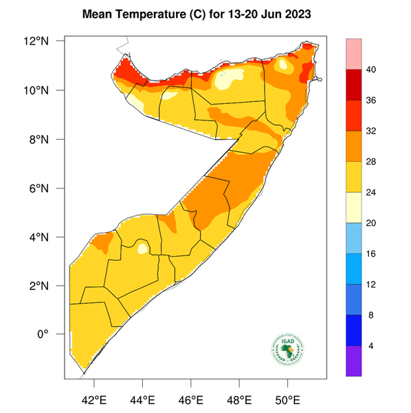 Temperature forecast