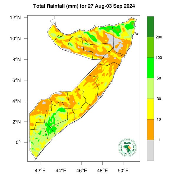 Rainfall forecast