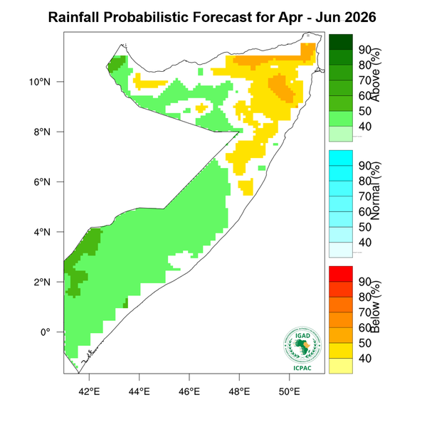 Rainfall forecast