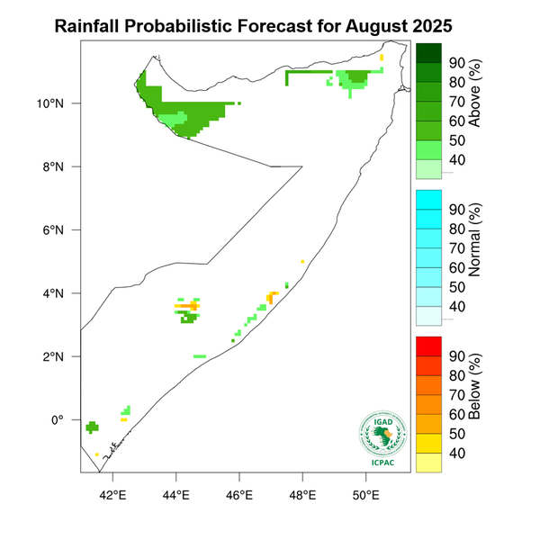 Rainfall forecast