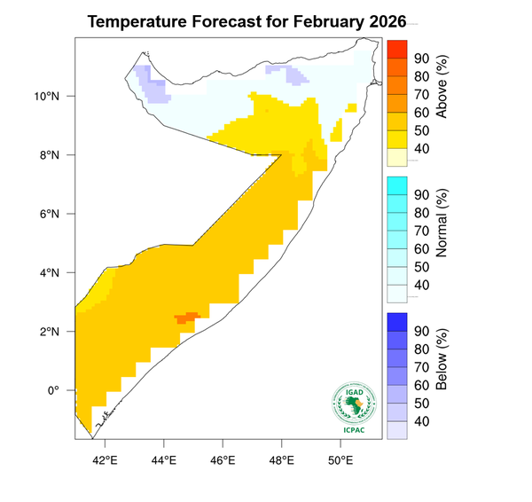 Temperature forecast