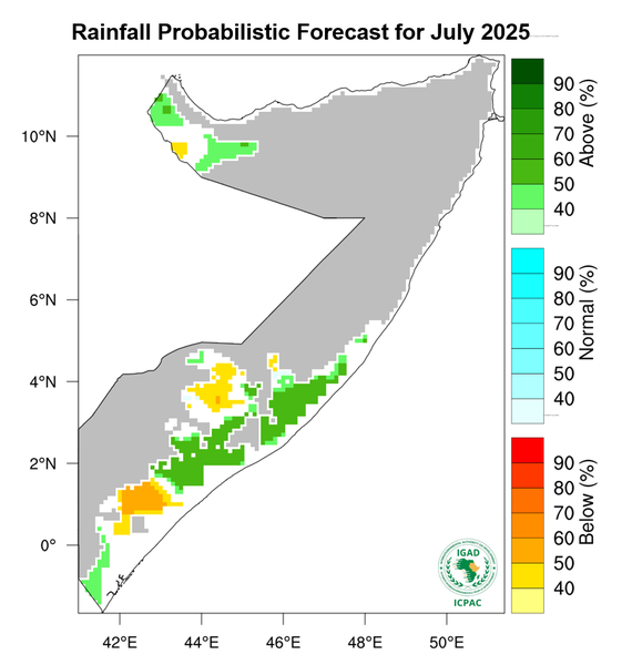 Rainfall forecast