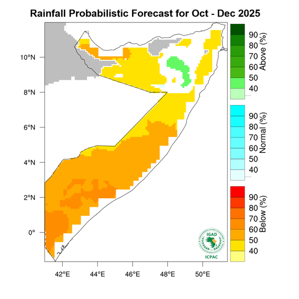 Rainfall forecast